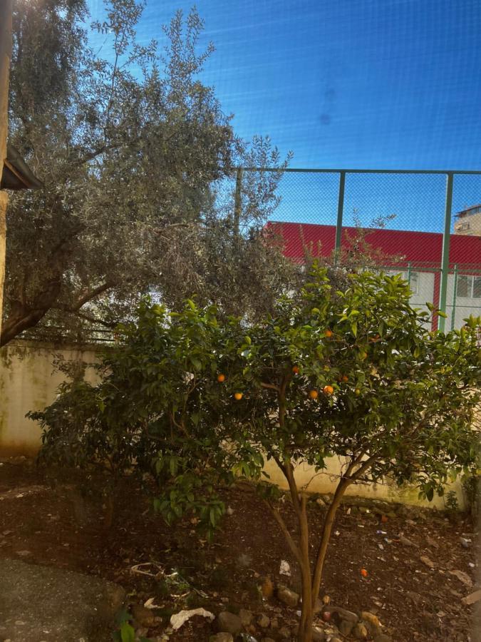 Amion Apartment In Center Of Tirana Esterno foto